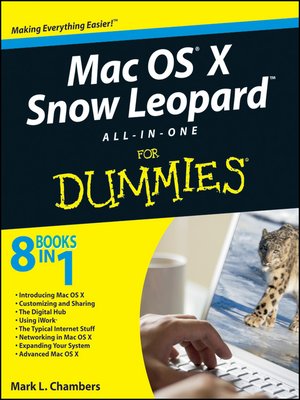 Mac OS X Snow Leopard All-in-One For Dummies - ebook
